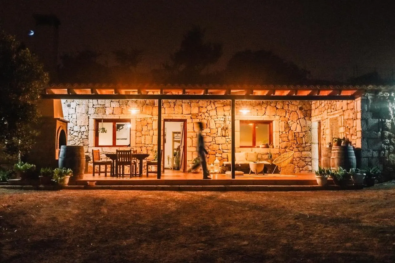 Villa Beautiful Olive'S Cave House Arico